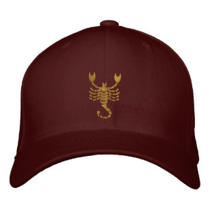 Scorpio Zodiac Sign Embroidered October 23 -Nov 21 Embroidered Hat
