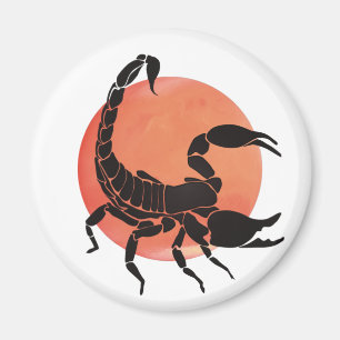 Scorpio Zodiac Sign Magnet