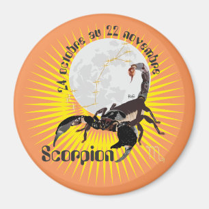Scorpion 24 octobre au 22 novembre Magnet