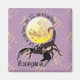 Scorpion 24 octobre au 22 novembre Magnet