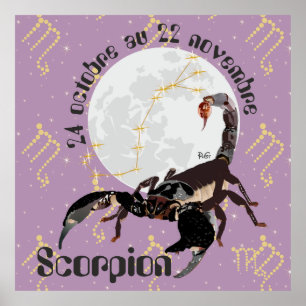 Scorpion 24 octobre au 22 novembre poster