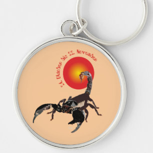 Scorpion 24th Oct to 22nd Nov. Key Ring