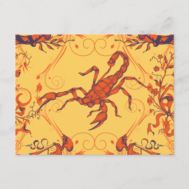 Scorpion 2 ~ Scorpions Scorpio Insect Insects Postcard (Front)