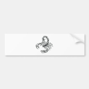 scorpion bumper sticker