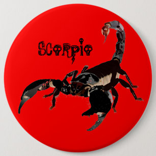 Scorpion Buttons