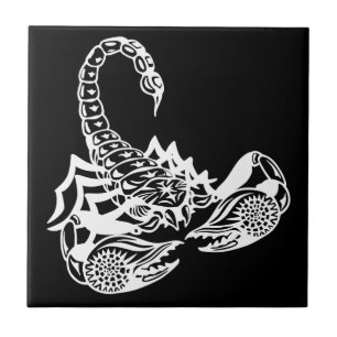 scorpion ceramic tile