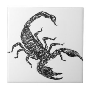 Scorpion Ceramic Tile