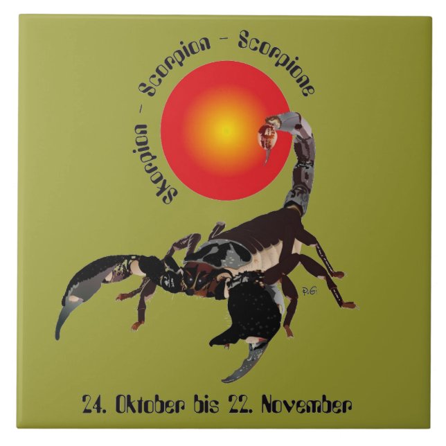 scorpion ceramics photo tile (Front)