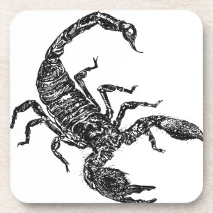 Scorpion Coaster