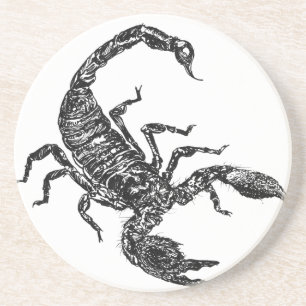 Scorpion Coaster