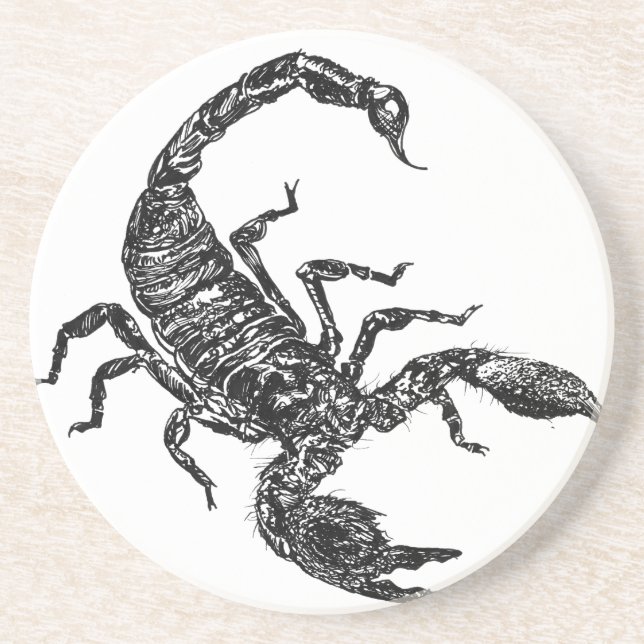 Scorpion Coaster (Front)