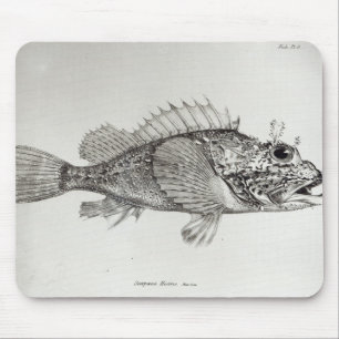 Scorpion Fish Mouse Pad