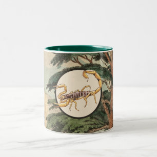 Scorpion In Natural Habitat Illustration Two-Tone Coffee Mug