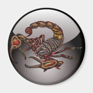 Scorpion Magnet