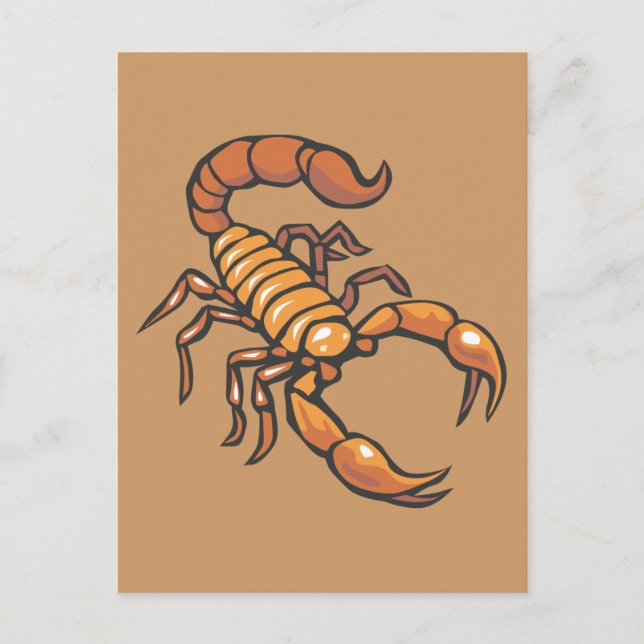 Scorpion Postcard (Front)
