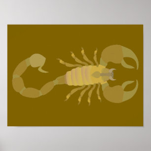 Scorpion Poster