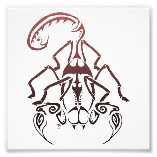 Scorpion Print