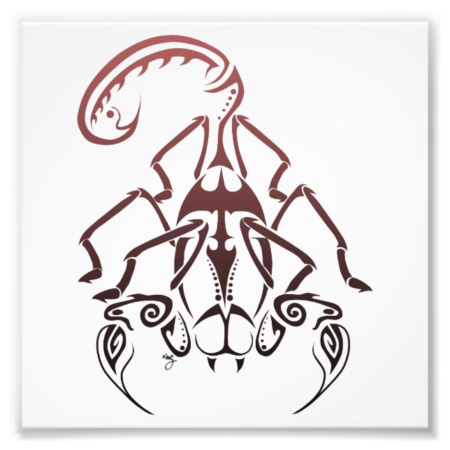 Scorpion Print (Front)