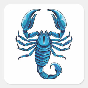 Scorpion Square Sticker