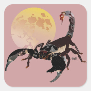 scorpion sticker