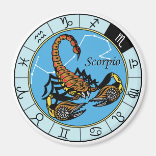 scorpion zodiac magnet