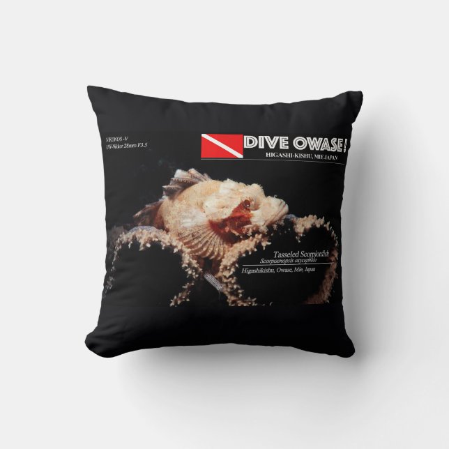 Scorpionfish on the sponge cushion (Front)