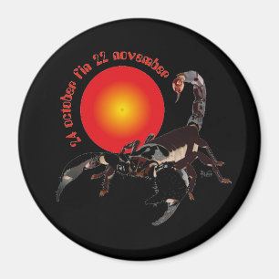 Scorpiun 24 october fin 22 November Magnet