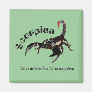 Scorpiun 24 october fin 22 november Magnet