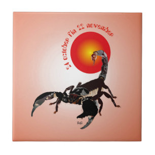 Scorpiun 24 october fin 22 November photo tile