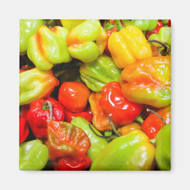 Scotch Bonnet Magnet (Front)