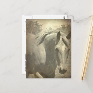 Scotch Faux Vintage Postcard