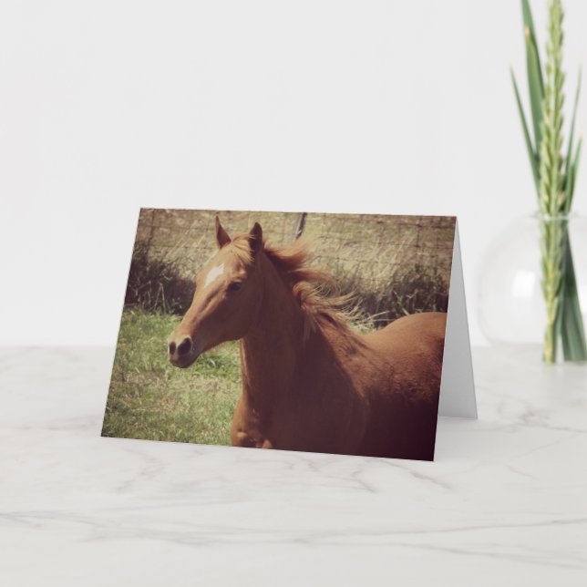 Scotch in Motion all occasions Card (Front)