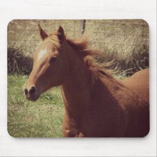 Scotch in Motion Mouse Pad