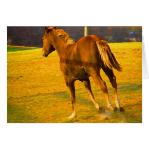 Scotch Run~ Oil Painting