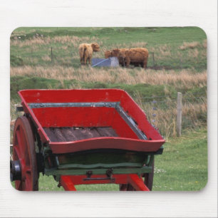Scotland, Isle of Skye, Kilmuir. Farm animals Mouse Pad