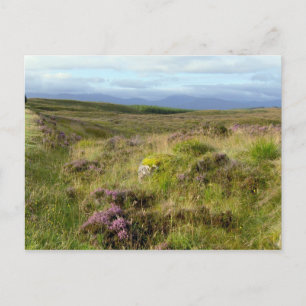 Scotland Postcard