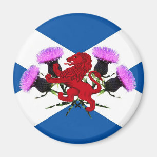 Scotland, Rampant lion, thistle Magnet