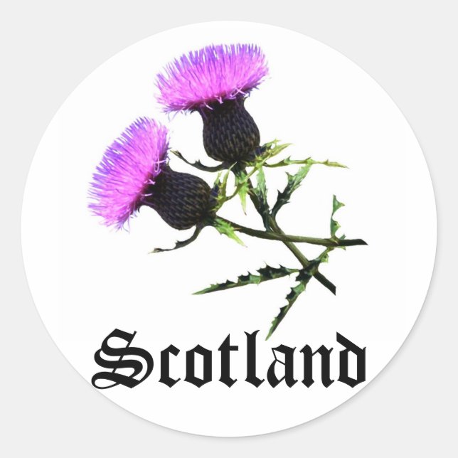 Scotland, thistle classic round sticker (Front)