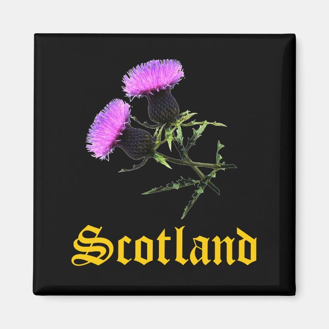Scotland, thistle magnet (Front)