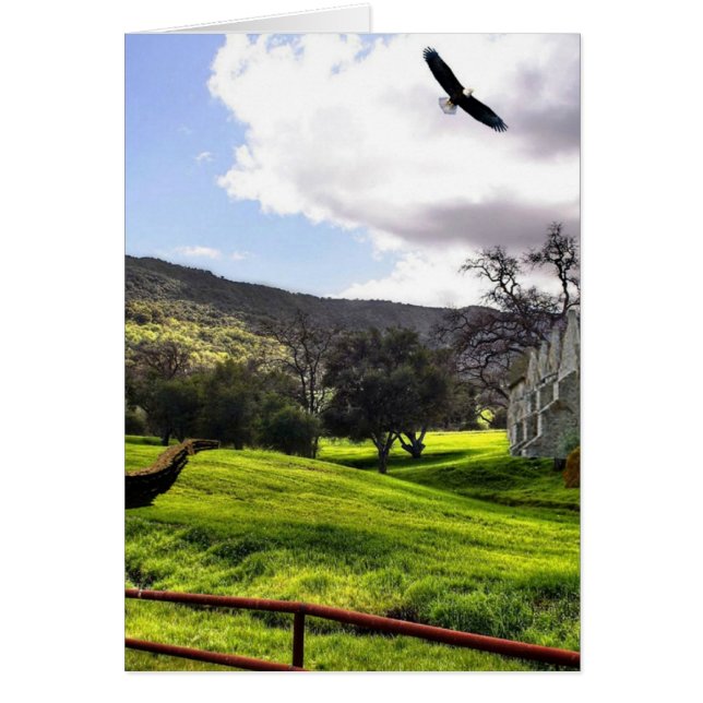 Scotland Yard (Front)