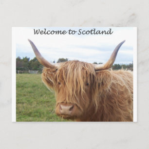 SCOTLANDPOSTCARD.jpg Postcard