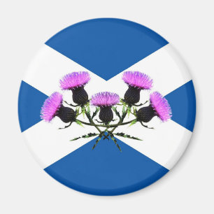 Scotland's flower, thistle magnet