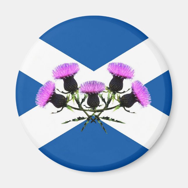 Scotland's flower, thistle magnet (Front)