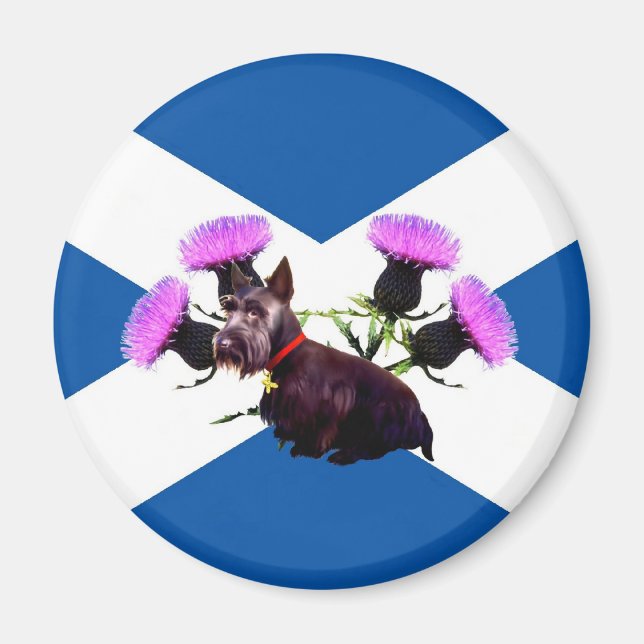 Scotland's Scottish Terrier, thistle Magnet (Front)