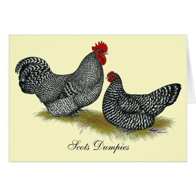 Scots Dumpy Chickens (Front Horizontal)
