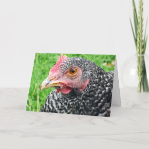 Scots Grey Hen - Poultry Greeting Card