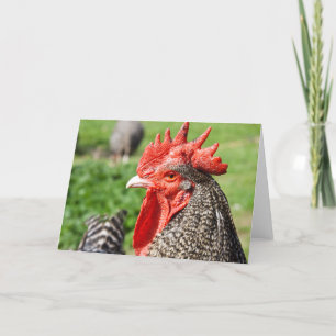 Scots Grey Rooster Blank Card
