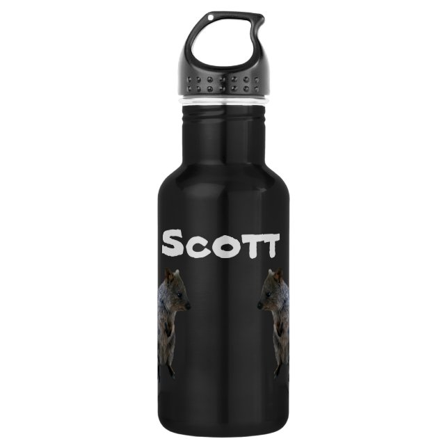 Scott Name With Australian Quokkas, Water Bottle (Front)
