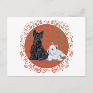 Scottie Adult & Westie Puppy Postcard