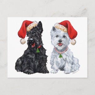 Scottie and Westie Caroling Postcard